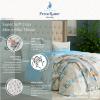 Franco Ms. Rachel Educational Adventures Bedding Super Soft Cozy Throw, 46 in x 60 in, (Officially Licensed Product) Kids(Peter Rabbit)