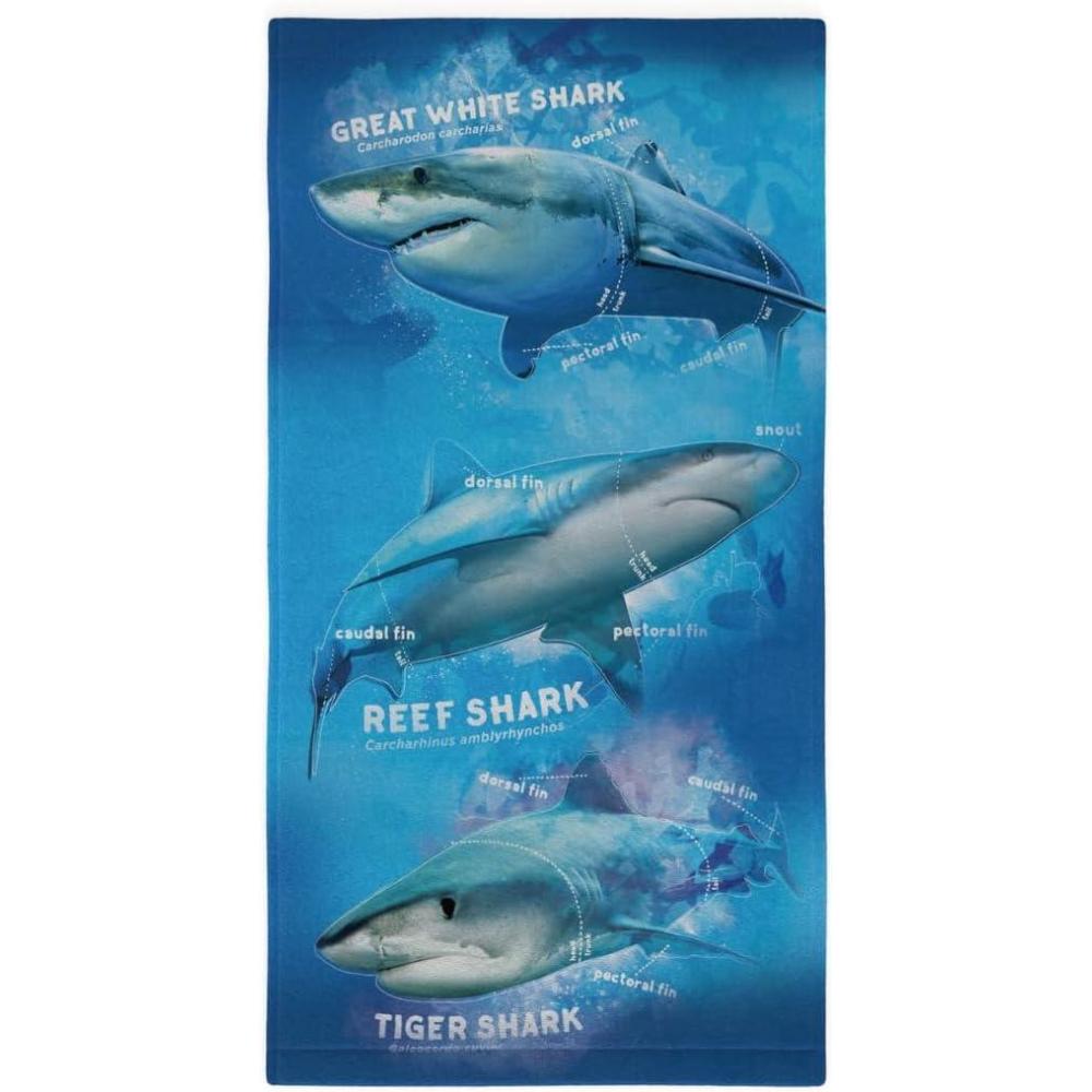 image:imageMs Rachel Kids Super Soft Cotton BathPoolBeach Towel 58 in x 28 in Officially Licensed Product by FrancoShark Week