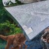 Ms. Rachel Kids Super Soft Cotton Bath/Pool/Beach Towel, 58 in x 28 in, (Officially Licensed Product) by Franco(Jurassic World Dominion)
