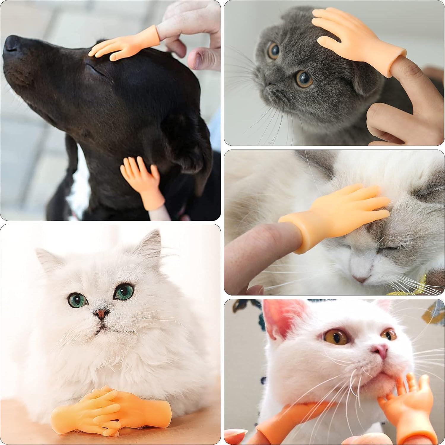 imageFinger Marionnettes Chat Drle Marionnettes Doigts Lot de 6 Halloween Cadeau Jouets pour Le Spectacle De Marionnettes Gag Prsent Fte Et Jeu Mini Accessoires6 PCS
