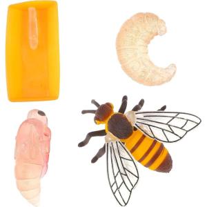 cobee Lot de 4 Figurines d&rsquo;insectes pour Cycle de Vie des Papillons, Apprentissage préscolaire enseignement des Insectes, Cycle de Croissance des Insectes Jouet réaliste pour l&rsquo;éducation (Abeille)(Abeille)