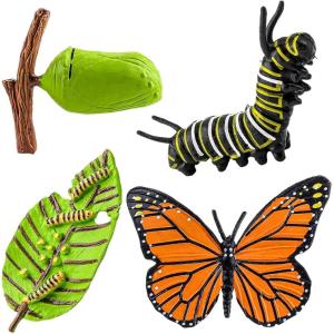 cobee Lot de 4 Figurines d&rsquo;insectes pour Cycle de Vie des Papillons, Apprentissage préscolaire enseignement des Insectes, Cycle de Croissance des Insectes Jouet réaliste pour l&rsquo;éducation (Abeille)(Papillons)