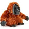 Orang-outan