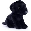 Labrador Noir