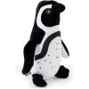 Pingouin de Humboldt