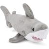 Requin