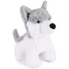 Chien Husky