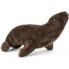 Lion de Mer de Californie