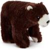 D'ours