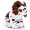 Springer Spaniel