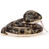 Anaconda Snake