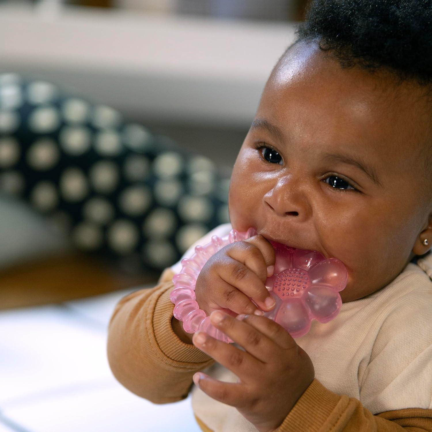 image:imageIngenuity ity by Ingenuity Cool Bite Water Anneau de dentition rfrigrer sans BPA multi textures en forme de fleur jouet unisexe pour enfants de 3 pois et plus DaisyRose