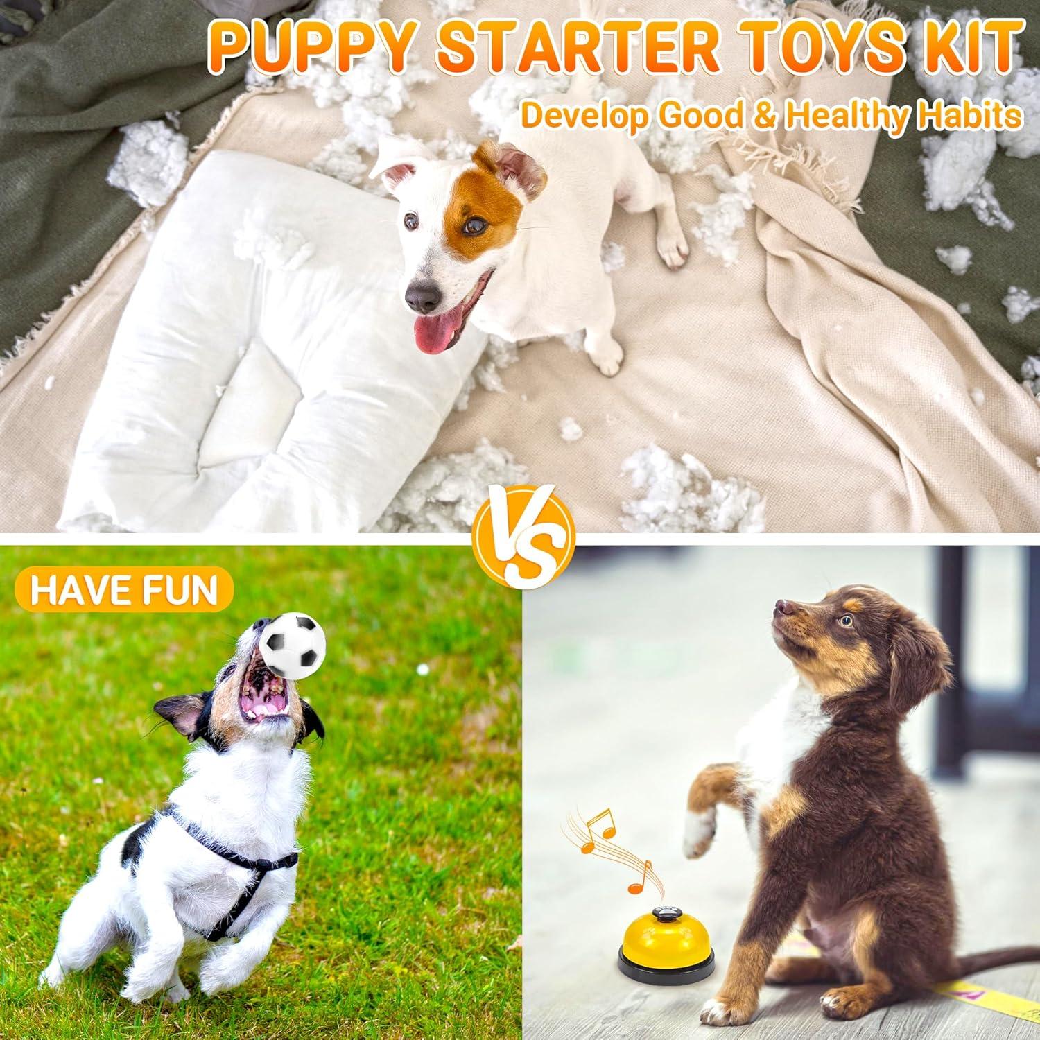 image:imageLot de 21 jouets de dmarrage pour chiot Jouets mcher enrichis avec bote jouets pour chien Jouets de dentition pour chiots de 8 semaines 12 semaines Pour jouer et dresser les