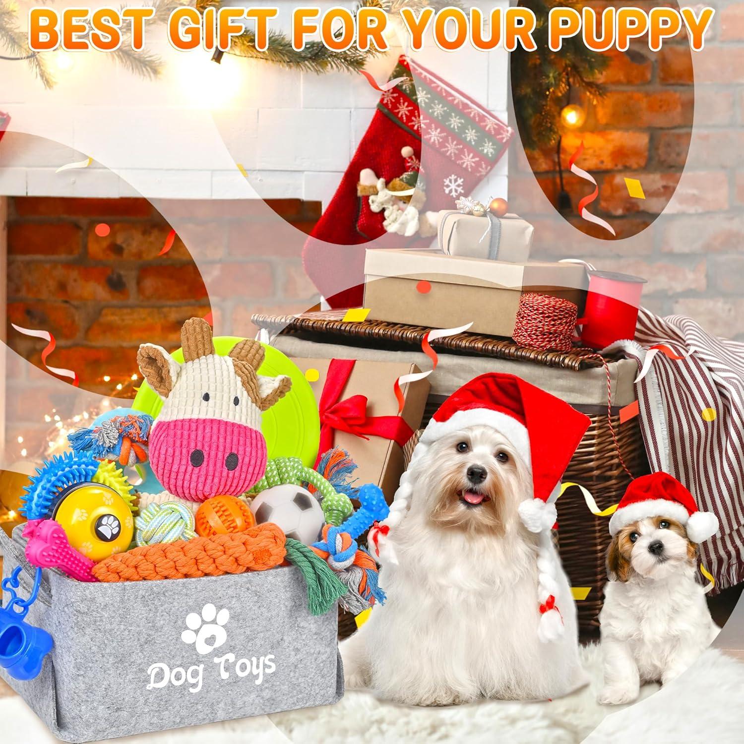 image:imageLot de 21 jouets de dmarrage pour chiot Jouets mcher enrichis avec bote jouets pour chien Jouets de dentition pour chiots de 8 semaines 12 semaines Pour jouer et dresser les