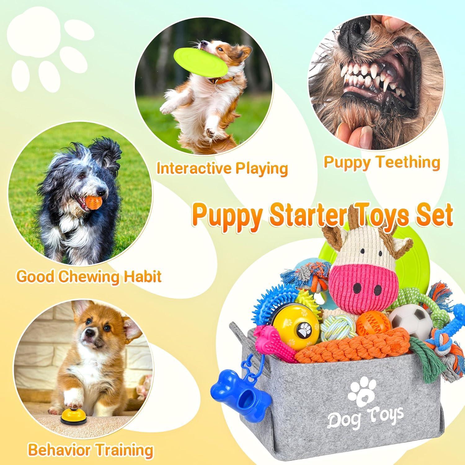 image:imageLot de 21 jouets de dmarrage pour chiot Jouets mcher enrichis avec bote jouets pour chien Jouets de dentition pour chiots de 8 semaines 12 semaines Pour jouer et dresser les