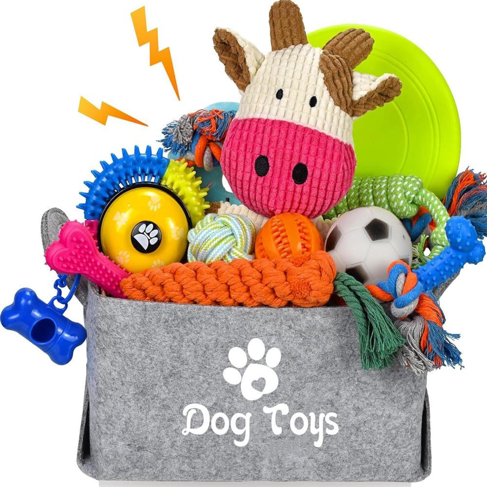 image:imageLot de 21 jouets de dmarrage pour chiot Jouets mcher enrichis avec bote jouets pour chien Jouets de dentition pour chiots de 8 semaines 12 semaines Pour jouer et dresser les