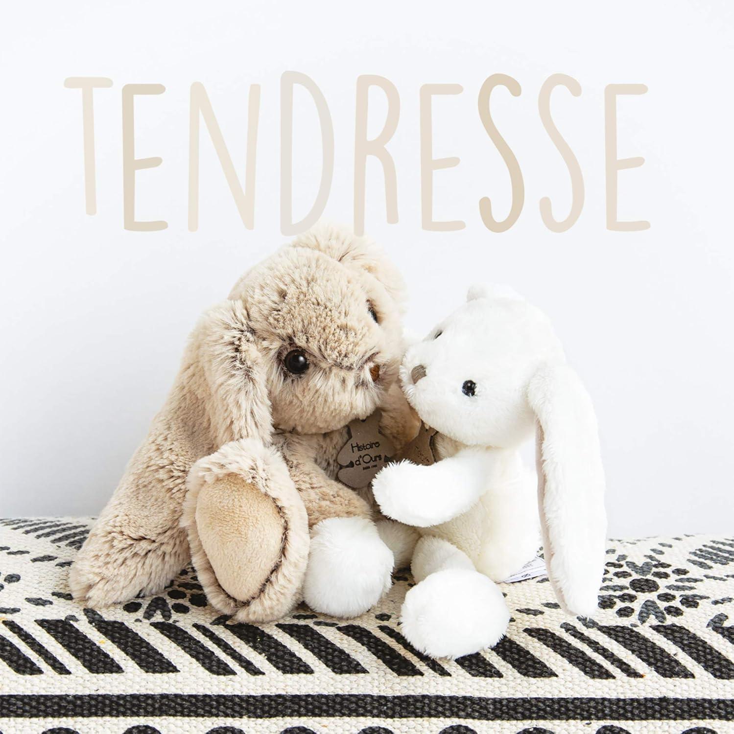 image:imageHistoire dOurs Peluche Lapin Rose Copains Calins Bote Cadeau Taille 25 Cm Douce et Mignonne Doudou Ide Cadeau de Naissance Nol ou Anniversaire pour Bb ou Enfants HO24341 Peluche Lapin Beige 25 Cm